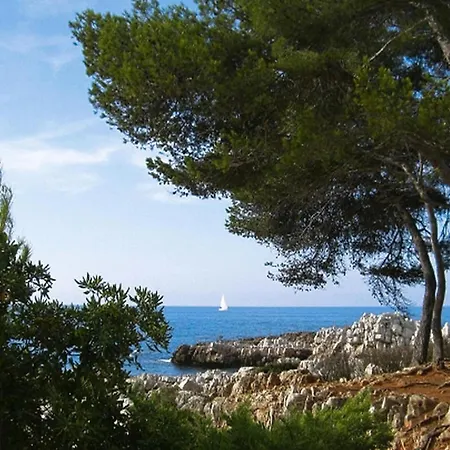 In Near Sandy Antibes